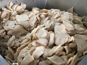 鹽水蘑菇、蘑菇罐頭和脫水蘑菇加工技術(shù)